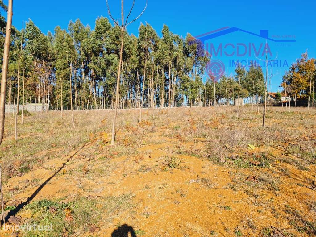 Terreno com 7107m2, viabilidade de construção em Figueiró dos Vinhos - Grande imagem: 2/8