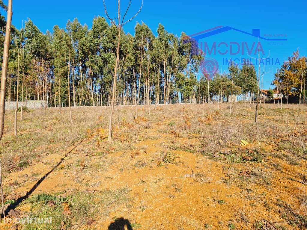 Terreno com 7107m2, viabilidade de construção em Figueiró dos Vinhos - Grande imagem: 2/8