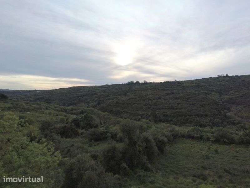 Terreno 3.360m² – Zona do Murganhal | Natureza + Potencial Valorização - Grande imagem: 5/6