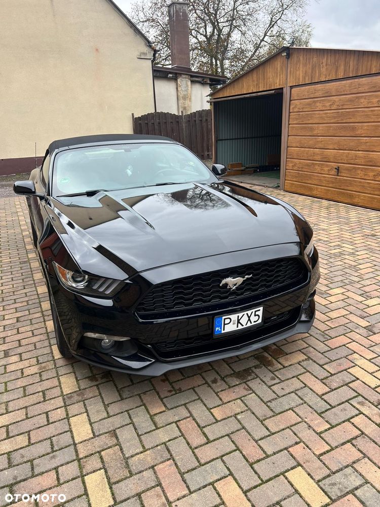 Ford Mustang 5.0 Ti-VCT V8 Black Shadow Edition - 16