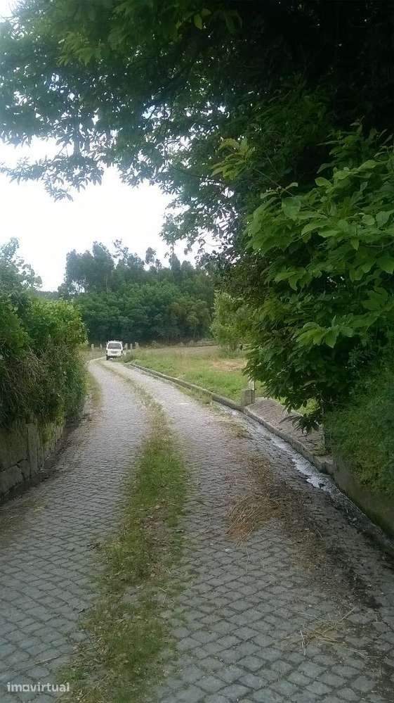Terreno com 2.000m2, ótimo para estaleiro. - Grande imagem: 3/3