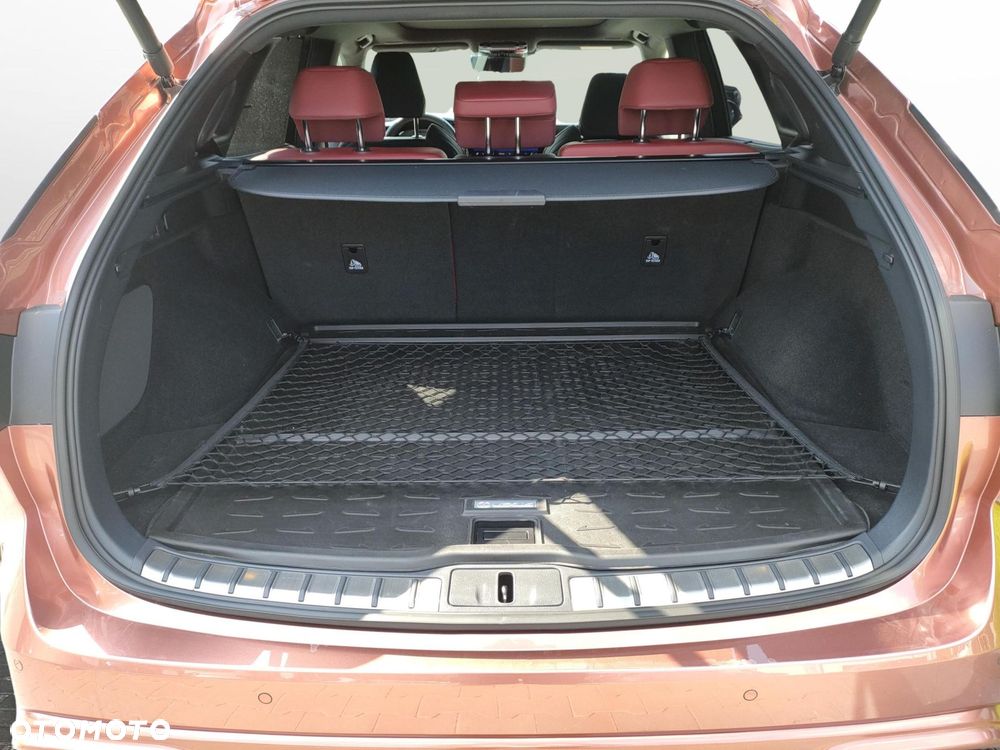 Lexus RX - 13