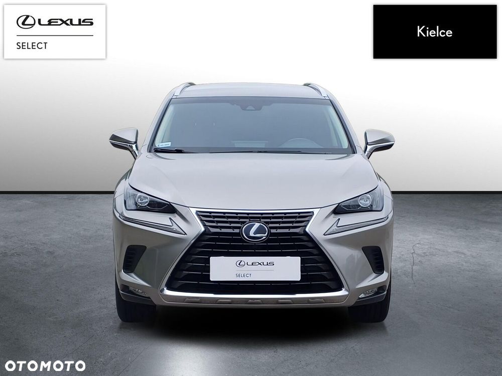 Lexus NX 300h Business Edition AWD - 9