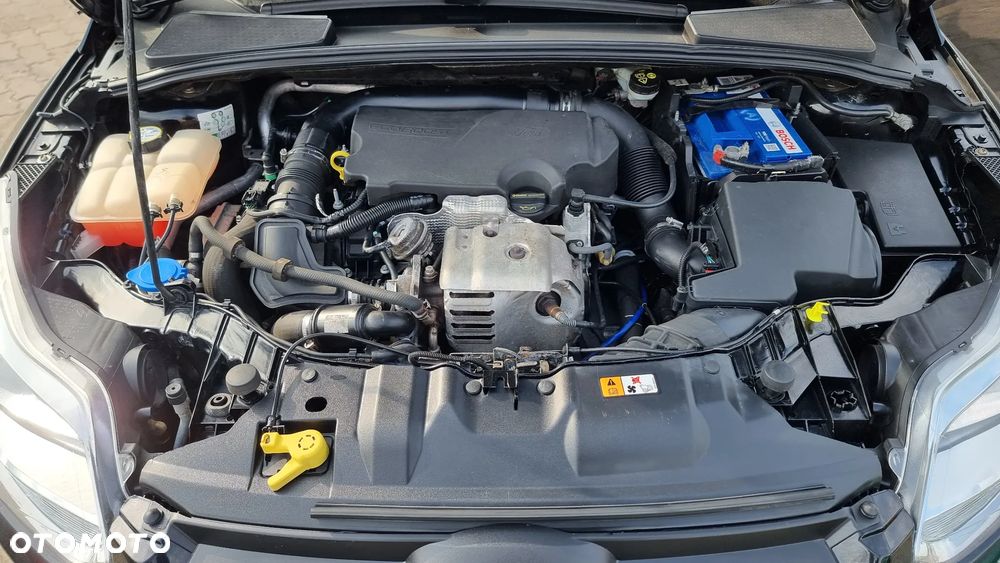 Ford Focus 1.0 EcoBoost Gold X (Edition Start) - 14