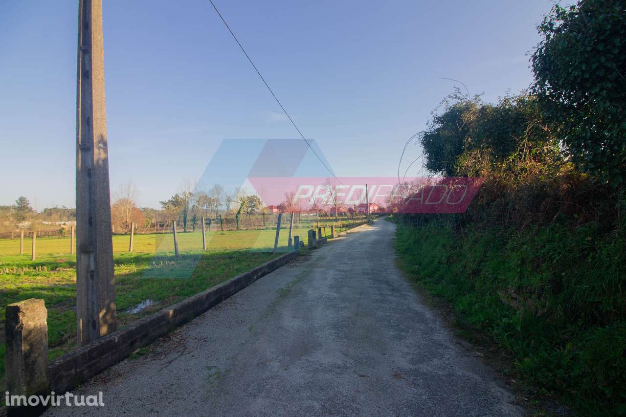 Terreno Agrícola em Escariz S. Mamede - Grande imagem: 3/8