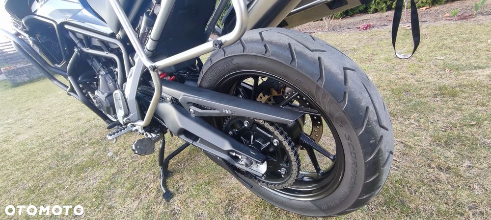 Triumph Tiger - 8