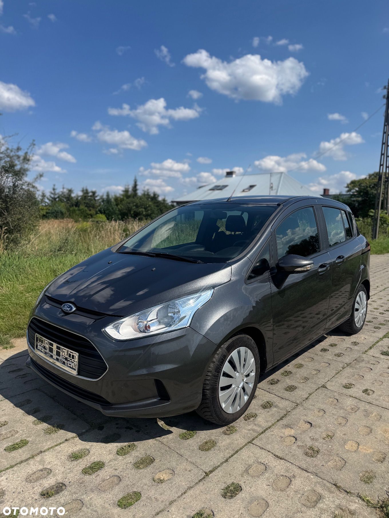 Ford B-MAX - 1