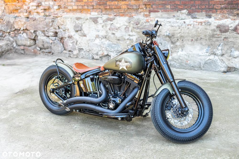 Harley-Davidson Softail Heritage Classic - 8