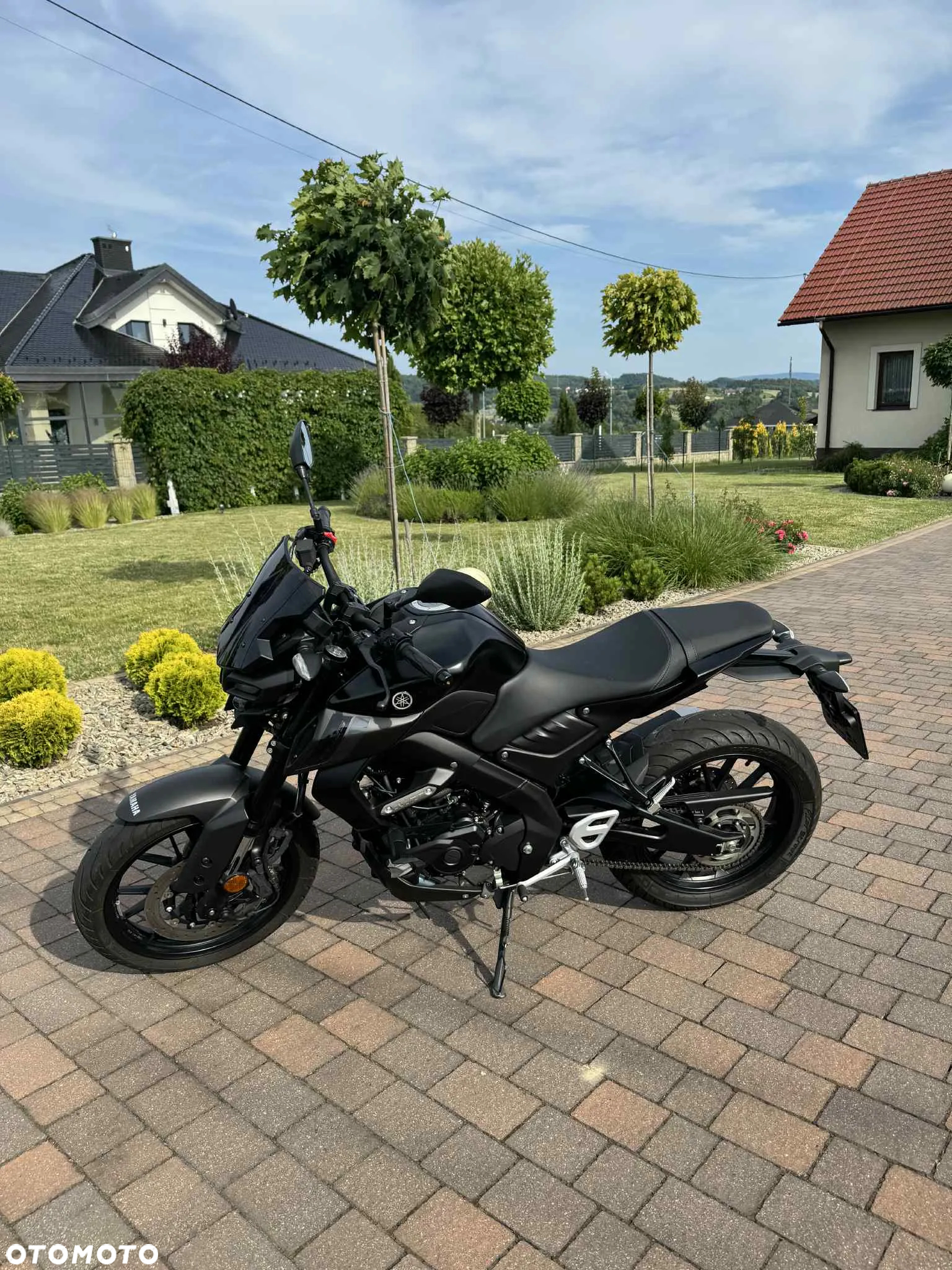 Yamaha MT - 15