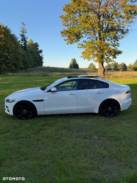 Jaguar XE 2.0 P250 R-Dynamic SE - 2