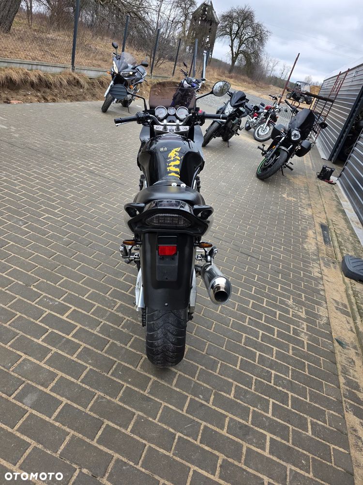 Suzuki Bandit - 28