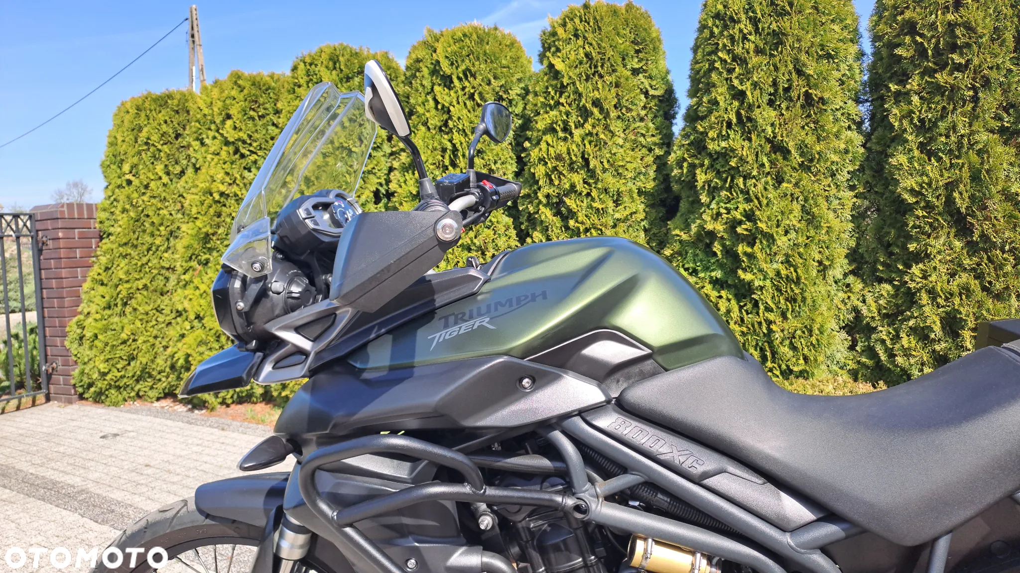 Triumph Tiger - 32
