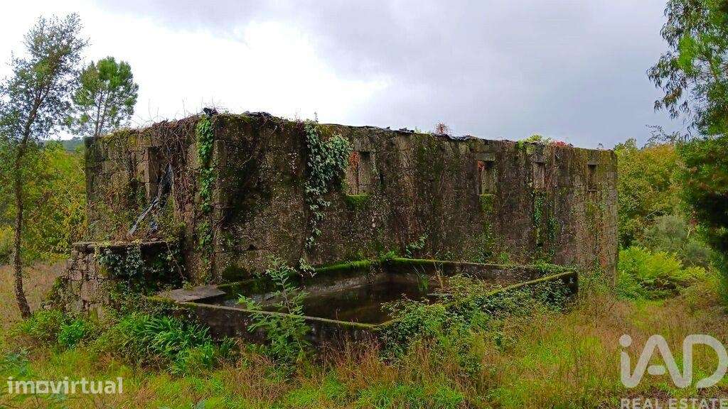 Casa rústica em Bouro (Santa Maria) de 400 m2 - Grande imagem: 4/39