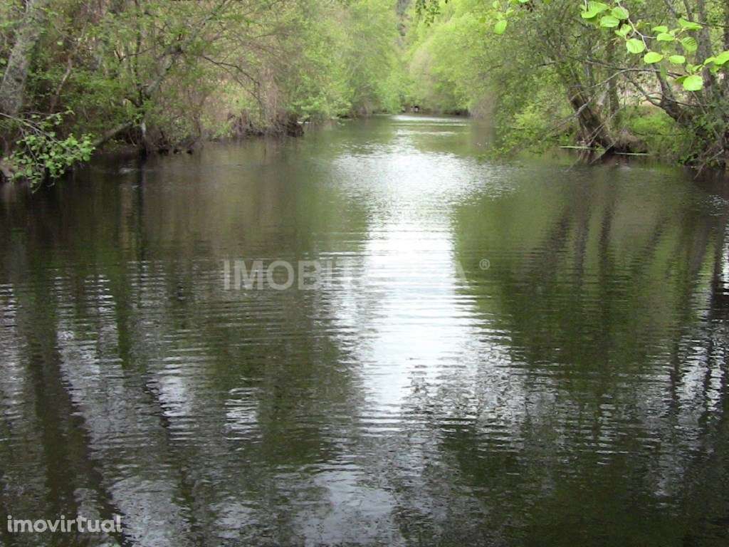 Quinta de Mirtilos com mais de 3 Hectares, localizada perto de Tondela - Grande imagem: 2/26