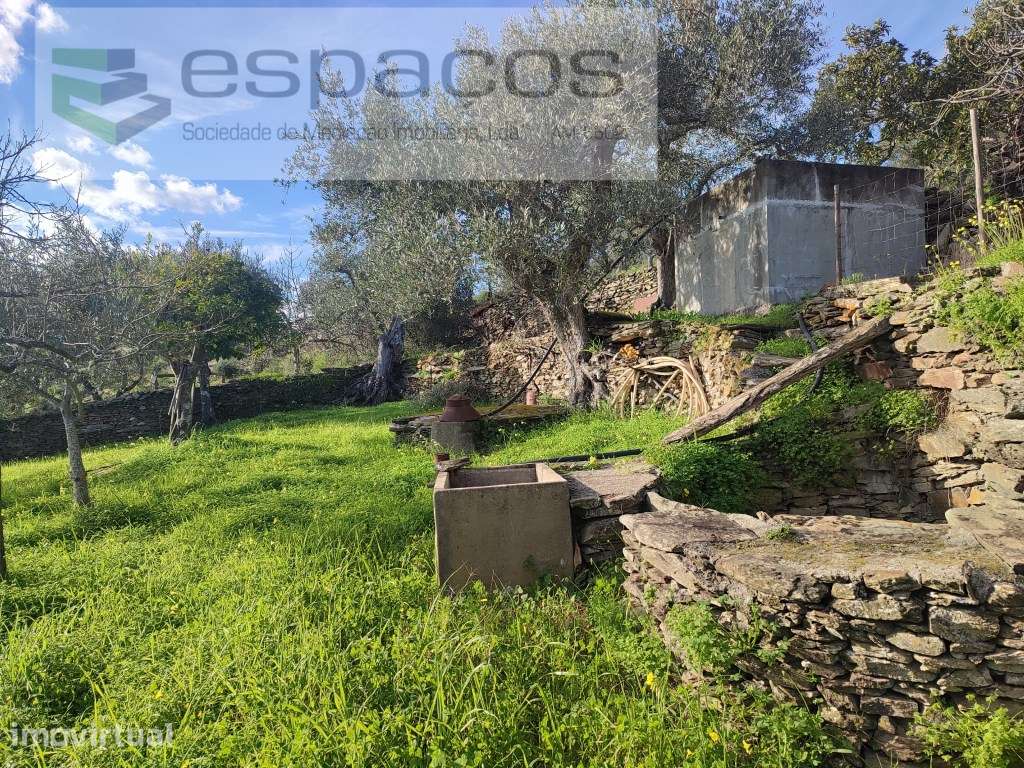 Quinta Rustica junto ao Rio Tejo - Grande imagem: 4/22