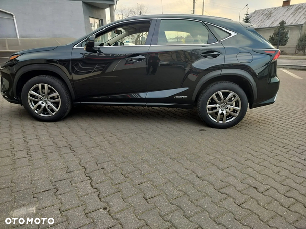 Lexus NX 300h Business Edition AWD