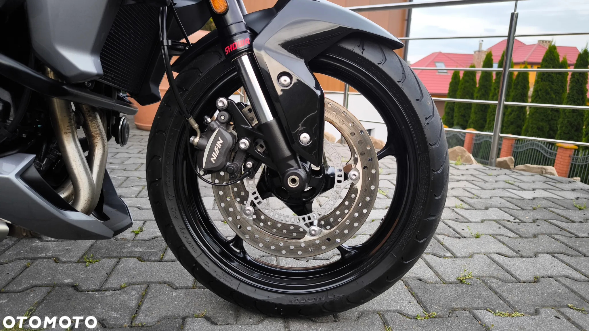 Triumph Tiger - 25