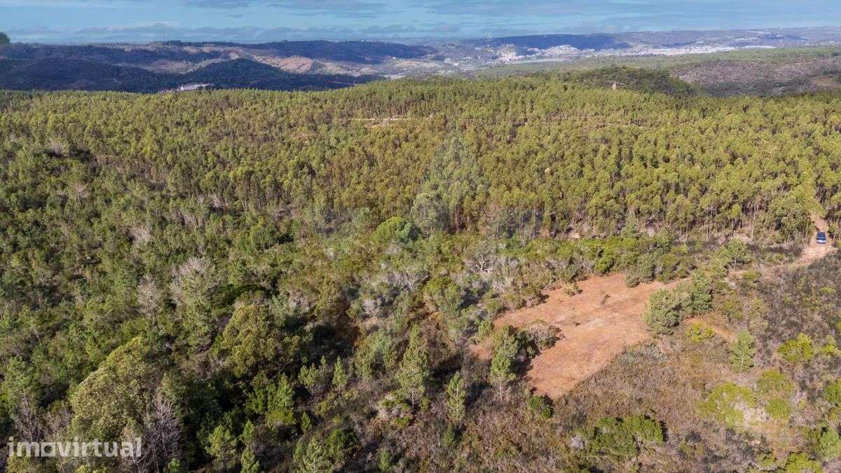 10 Hectares de Natureza Imaculada - Apenas a 5 Minutos de Aljezur - Grande imagem: 4/14
