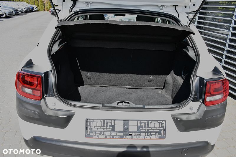 Citroën C4 Cactus 1.6 Blue HDi Shine - 24