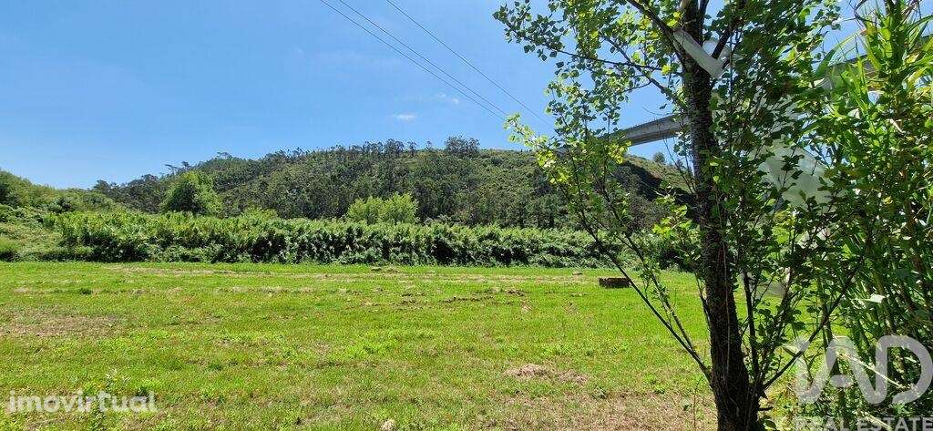 Terreno em Carvoeira de 2500,00 m2 - Grande imagem: 3/27