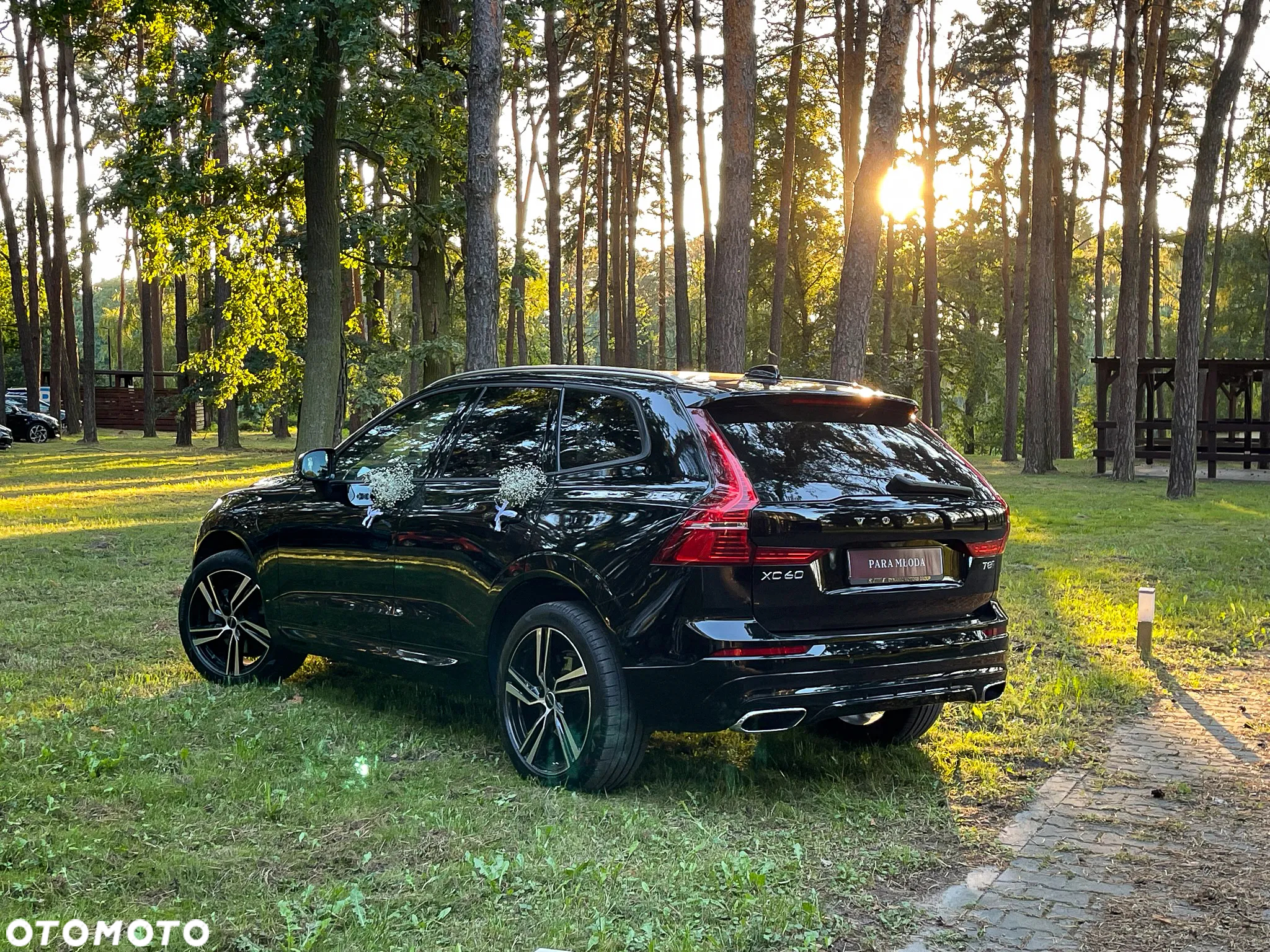 Volvo XC 60 T8 AWD Plug-In Hybrid Momentum Pro - 40