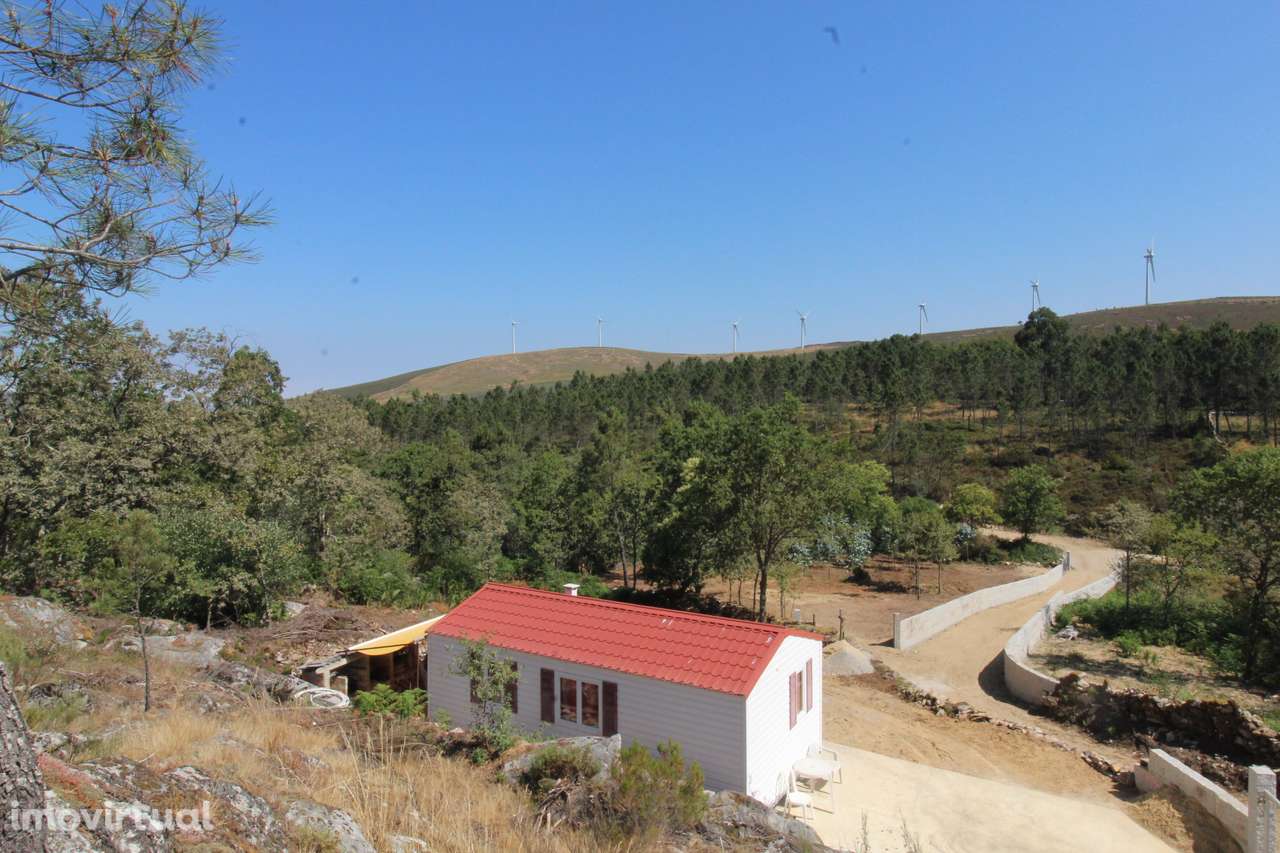 Quinta c/ Moradia T2 Móvel – Refúgio Natural em S. Pedro do Sul - Grande imagem: 2/16