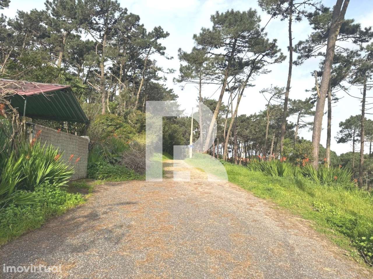 Moradia T2 em terreno de 2200m2 em Colares - Grande imagem: 2/24