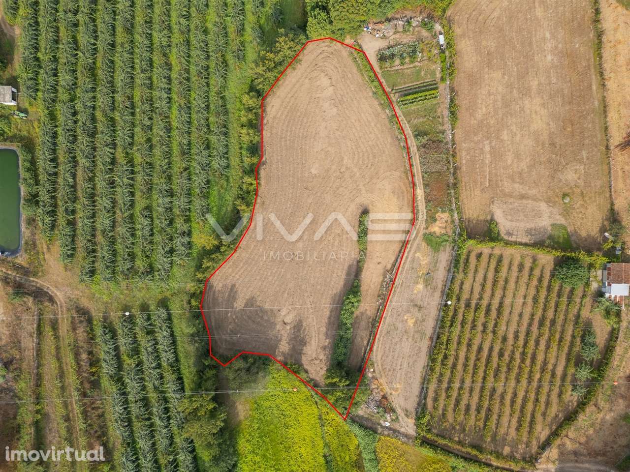 Terreno Rústico  Venda em Monsul,Póvoa de Lanhoso - Grande imagem: 5/15