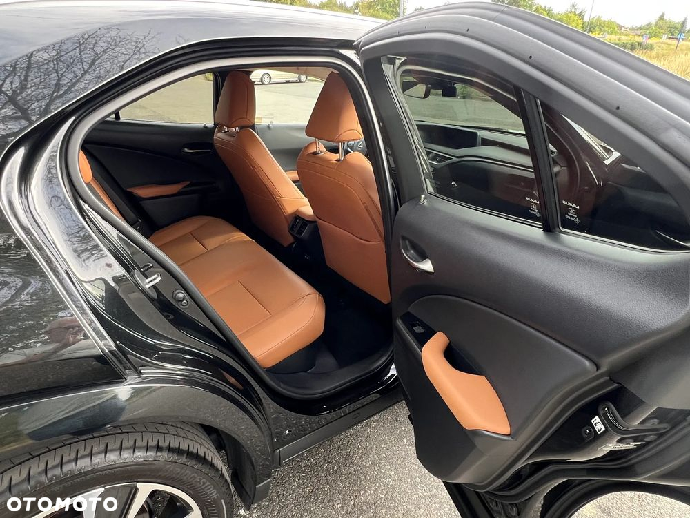 Lexus UX - 15