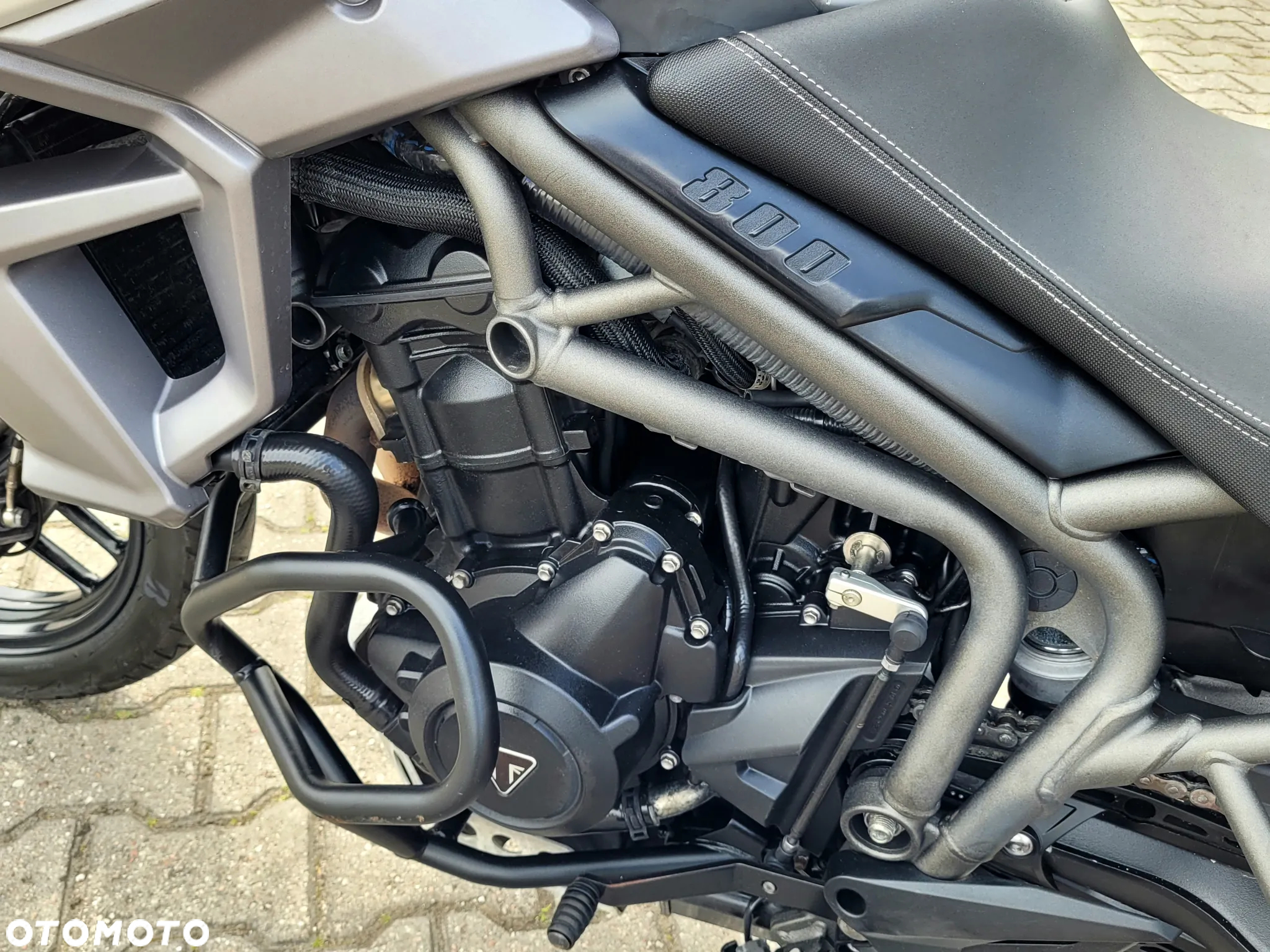 Triumph Tiger - 6