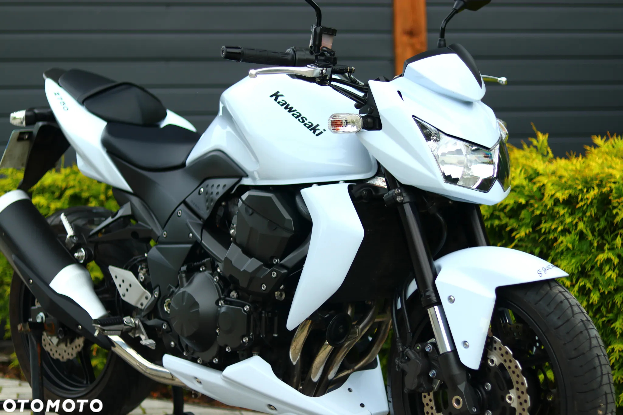 Kawasaki Z - 16