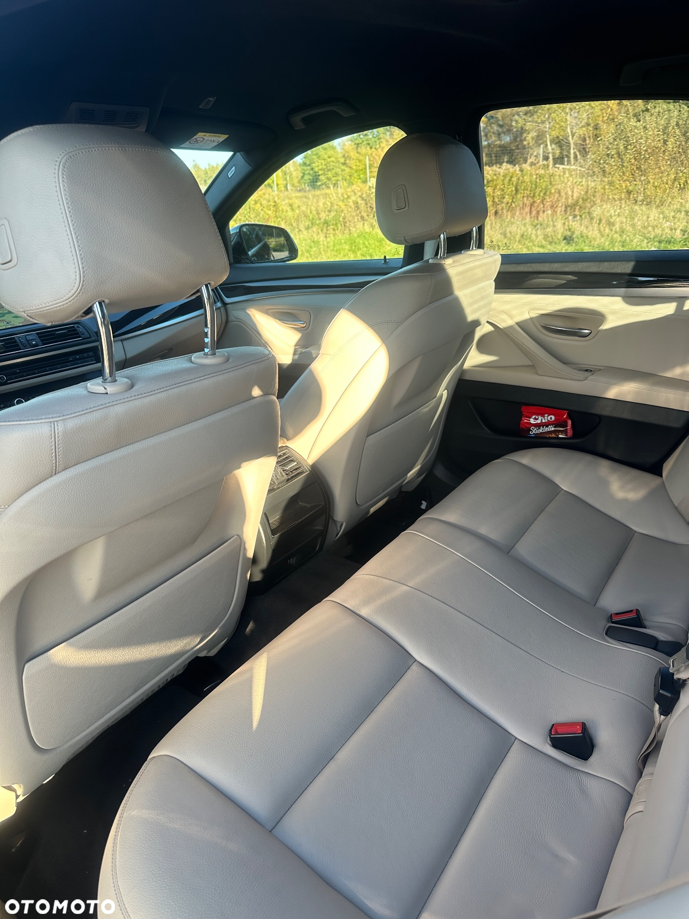 BMW Seria 5 520d xDrive - 10