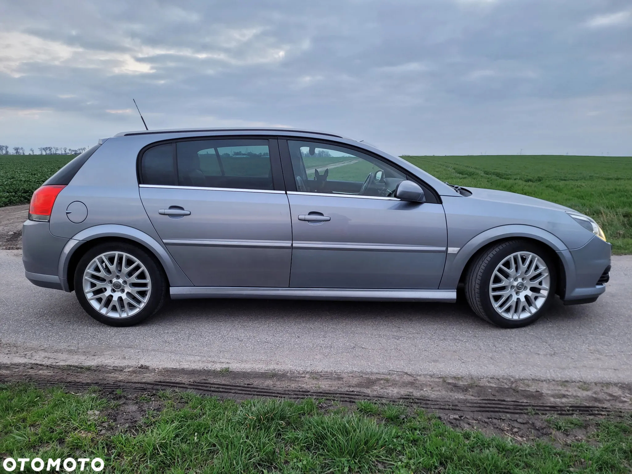 Opel Signum - 2