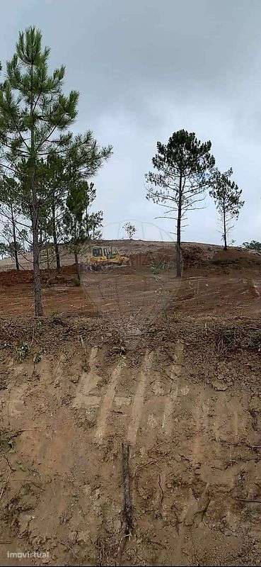 Quinta  para venda - Grande imagem: 4/12