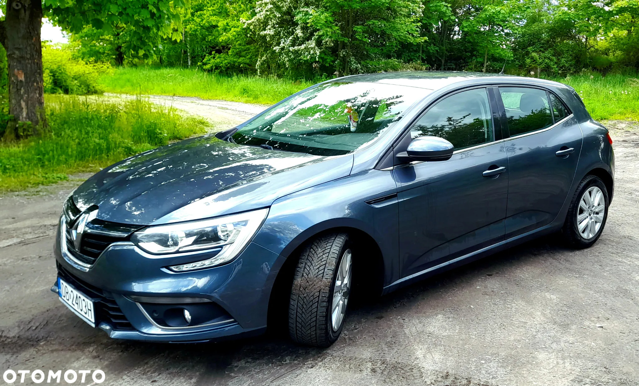 Renault Megane 1.2 Energy TCe Limited - 10