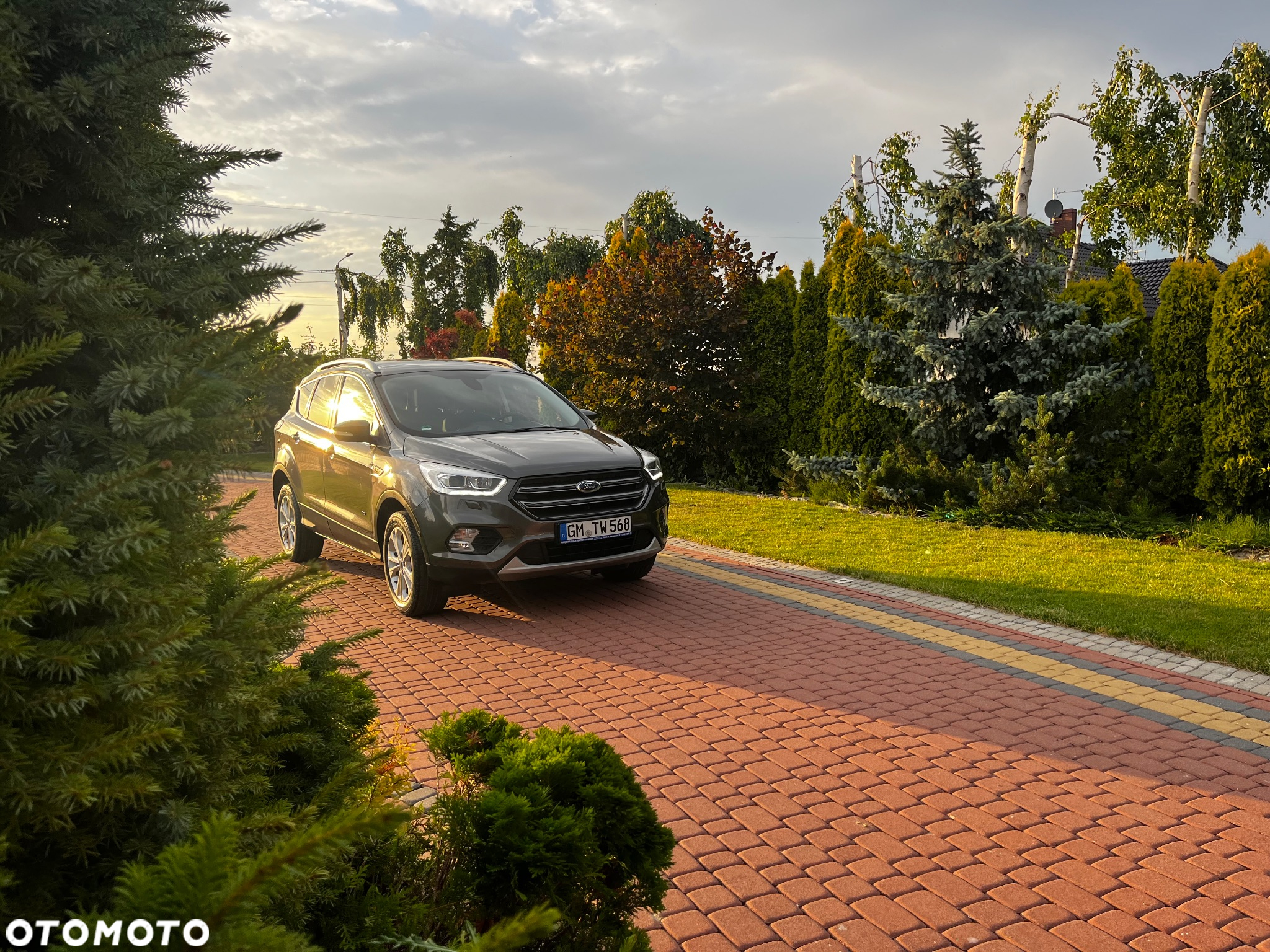 Ford Kuga 1.5 EcoBoost AWD Titanium ASS - 10