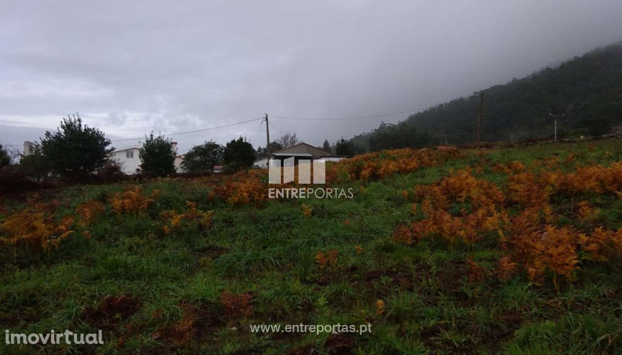 Terreno - Carreço - Grande imagem: 4/4