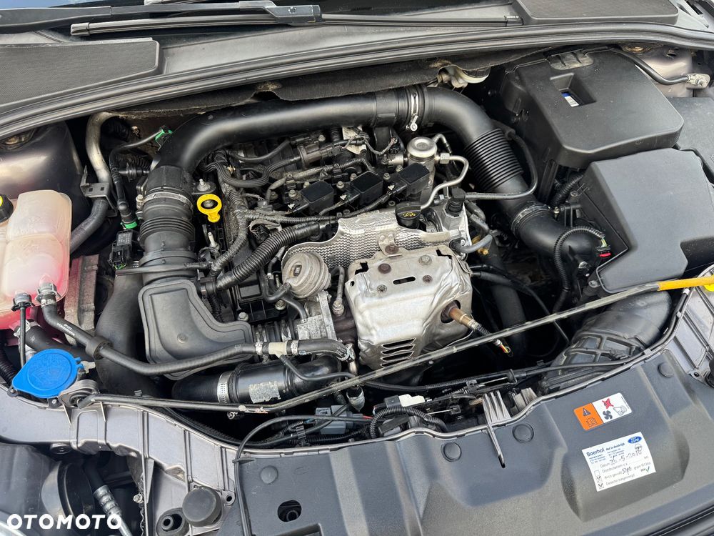 Ford Focus 1.0 EcoBoost 99g Trend - 8