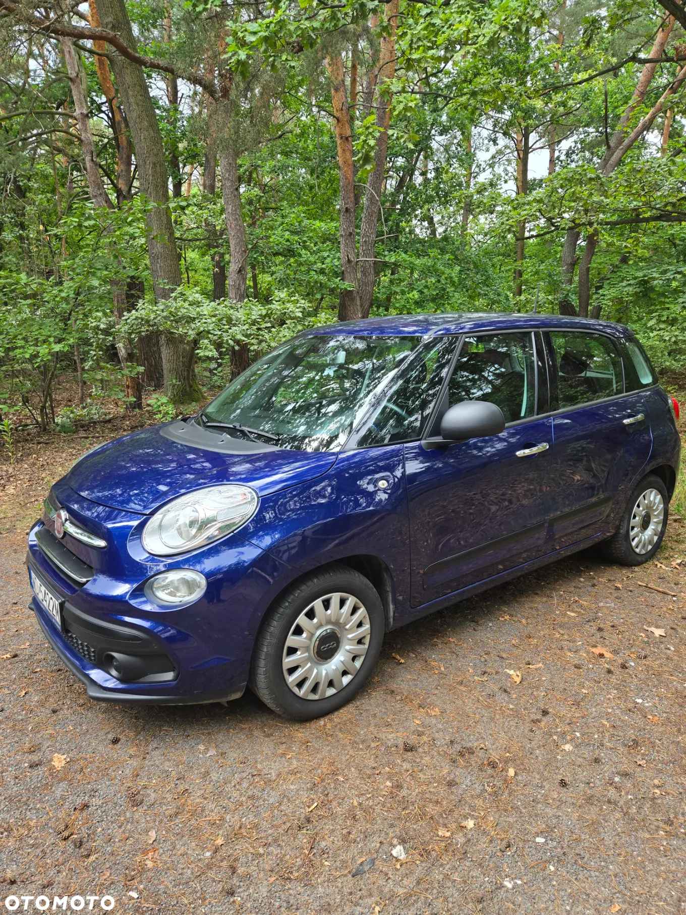 Fiat 500L 1.4 16V Pop Star - 2