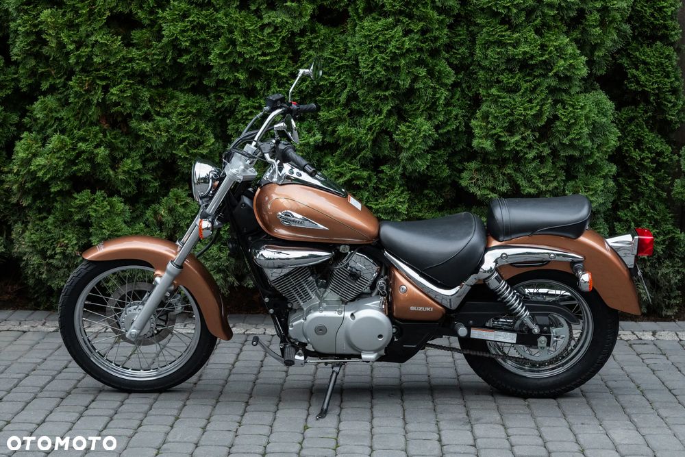 Suzuki Intruder - 3