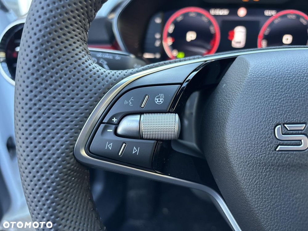 Skoda Fabia 1.0 TSI Monte Carlo DSG - 21