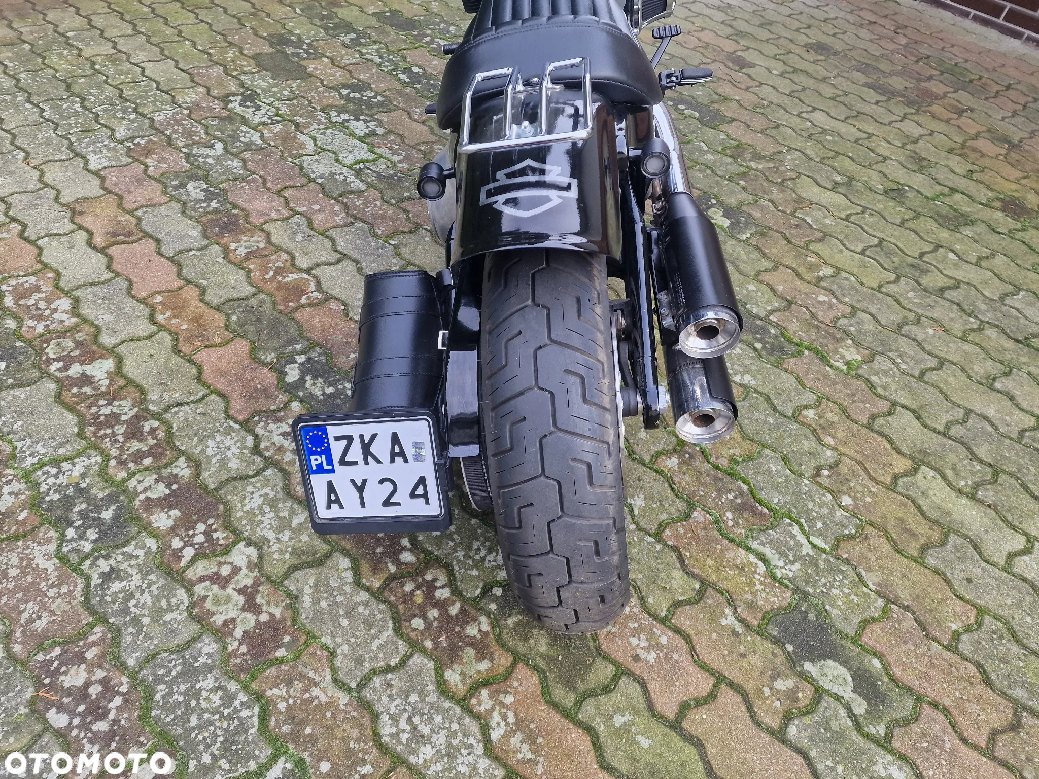 Harley-Davidson Softail - 5