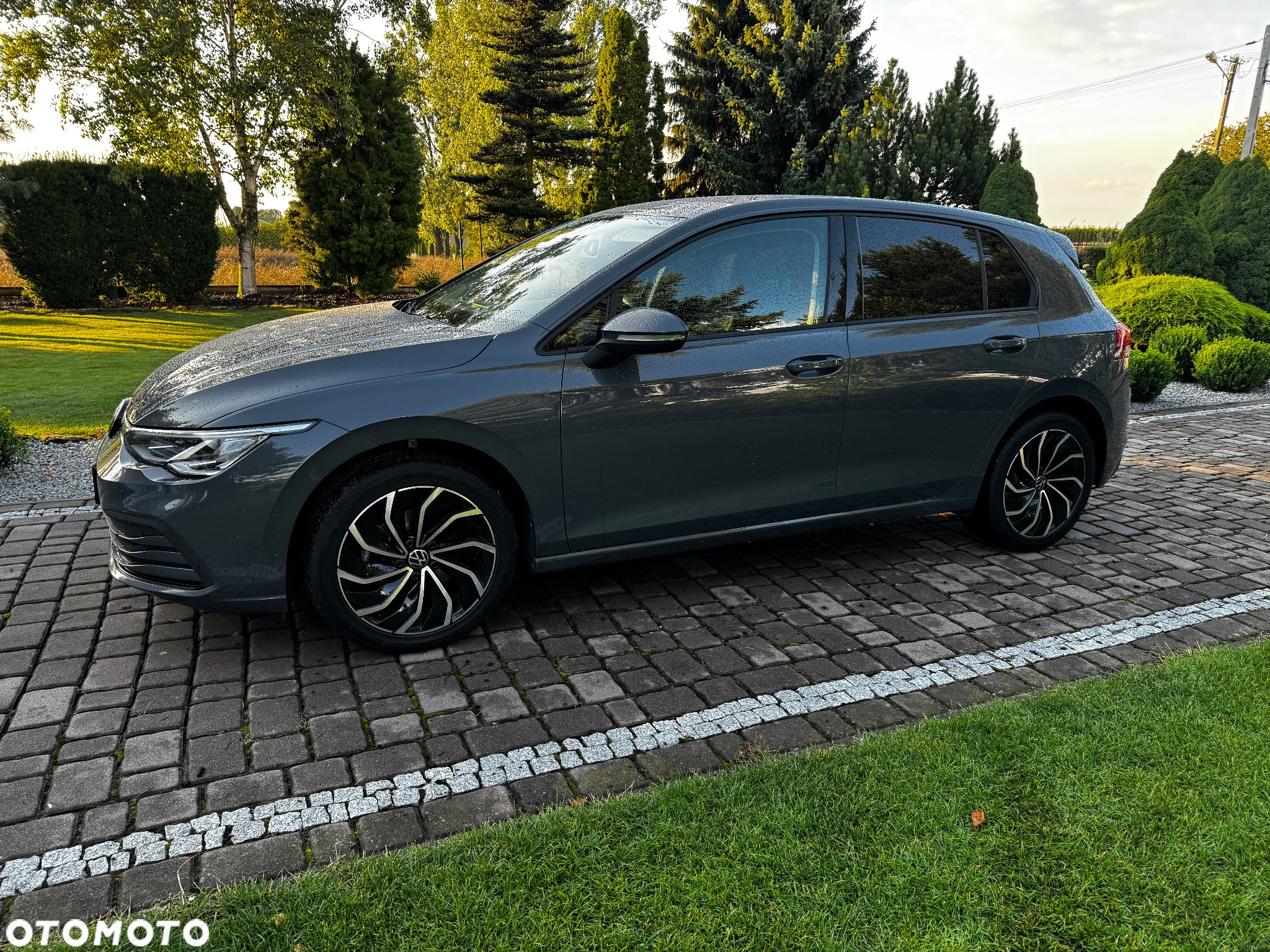Volkswagen Golf VIII 1.0 TSI Life - 3