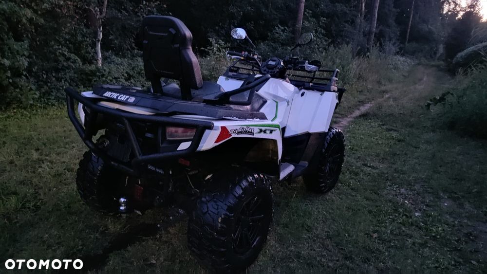 Arctic Cat Inny - 18
