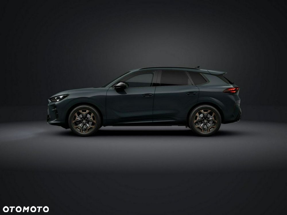 Cupra Terramar - 2