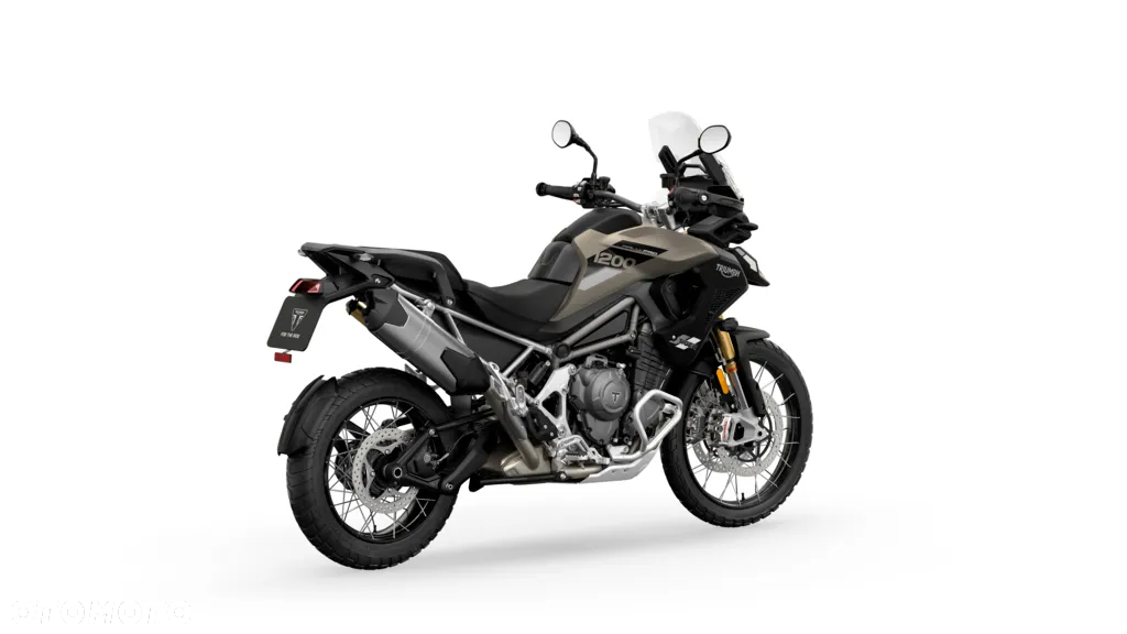 Triumph Tiger - 19