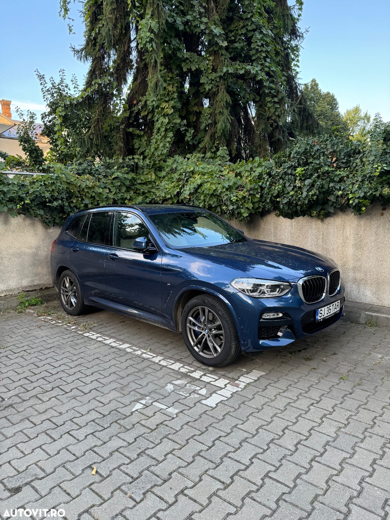 BMW X3 xDrive30d Aut. Luxury Line - 2