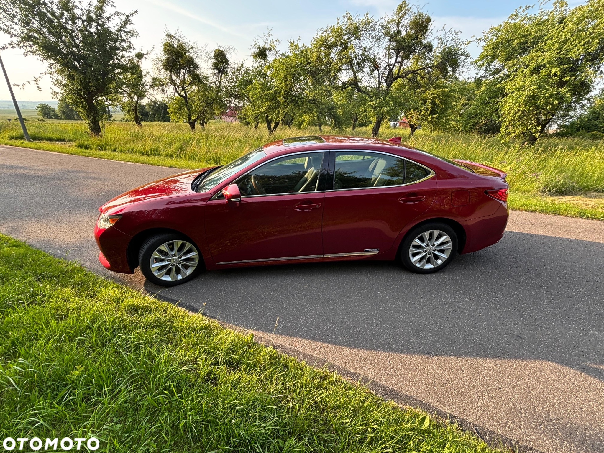 Lexus ES 300h Business Line - 10