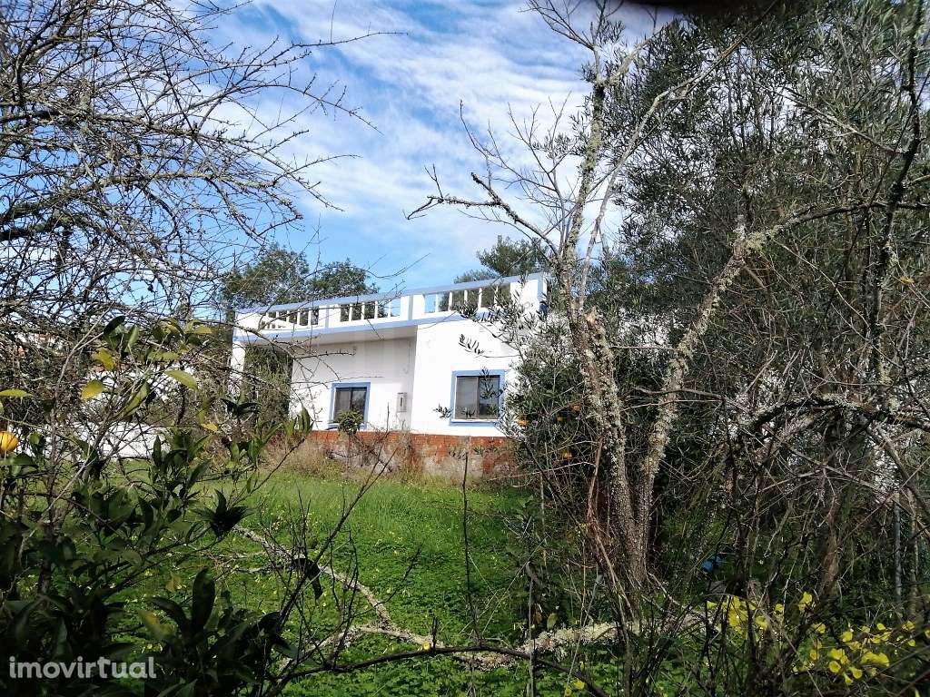Moradia isolada no interior algarvio, Loulé, Algarve - Grande imagem: 3/26
