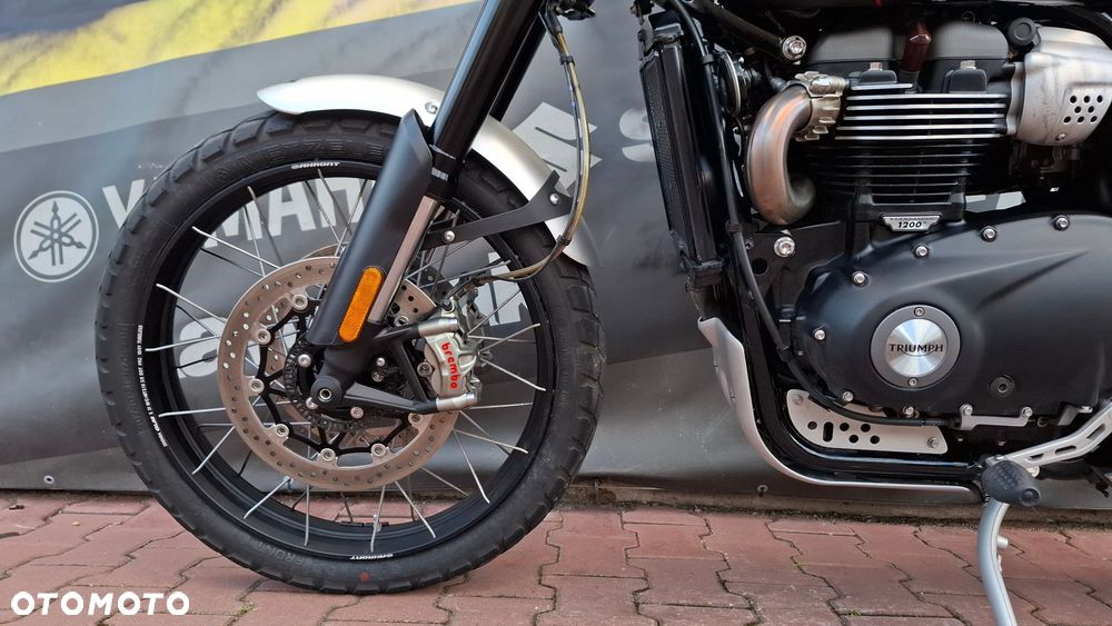 Triumph Scrambler - 17